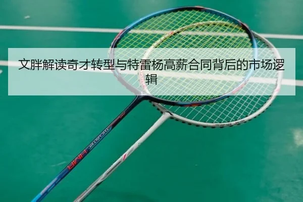 文胖解读奇才转型与特雷杨高薪合同背后的市场逻辑